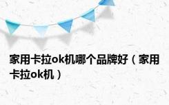 家用卡拉ok机哪个品牌好（家用卡拉ok机）