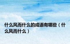 什么风而什么的成语有哪些（什么风而什么）
