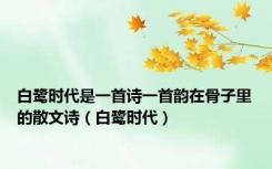 白鹭时代是一首诗一首韵在骨子里的散文诗（白鹭时代）