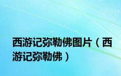 西游记弥勒佛图片（西游记弥勒佛）