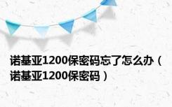 诺基亚1200保密码忘了怎么办（诺基亚1200保密码）