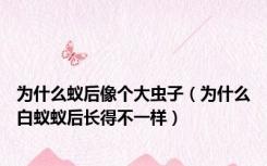 为什么蚁后像个大虫子（为什么白蚁蚁后长得不一样）