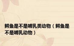 鳄鱼是不是哺乳类动物（鳄鱼是不是哺乳动物）