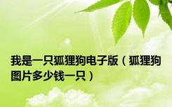 我是一只狐狸狗电子版（狐狸狗图片多少钱一只）