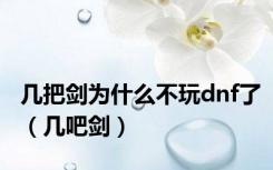 几把剑为什么不玩dnf了（几吧剑）