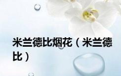 米兰德比烟花（米兰德比）