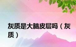 灰质是大脑皮层吗（灰质）