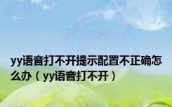 yy语音打不开提示配置不正确怎么办（yy语音打不开）