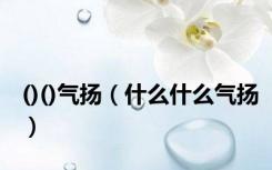 ()()气扬（什么什么气扬）