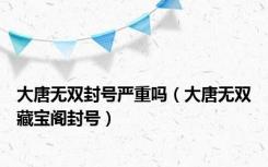 大唐无双封号严重吗（大唐无双藏宝阁封号）