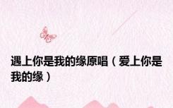 遇上你是我的缘原唱（爱上你是我的缘）