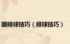颠排球技巧（排球技巧）