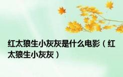 红太狼生小灰灰是什么电影（红太狼生小灰灰）