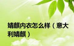 婧麒内衣怎么样（意大利婧麒）