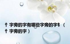 忄字旁的字有哪些字旁的字钅（忄字旁的字）