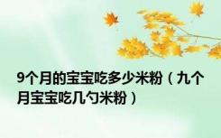 9个月的宝宝吃多少米粉（九个月宝宝吃几勺米粉）