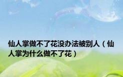 仙人掌做不了花没办法被别人（仙人掌为什么做不了花）