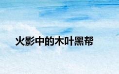 火影中的木叶黑帮