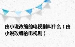 由小说改编的电视剧叫什么（由小说改编的电视剧）