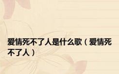 爱情死不了人是什么歌（爱情死不了人）