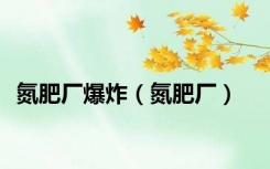 氮肥厂爆炸（氮肥厂）