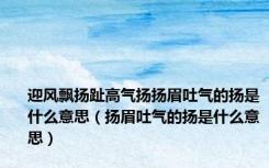 迎风飘扬趾高气扬扬眉吐气的扬是什么意思（扬眉吐气的扬是什么意思）