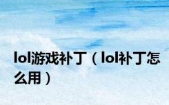 lol游戏补丁（lol补丁怎么用）