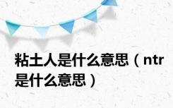 粘土人是什么意思（ntr是什么意思）