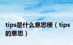tips是什么意思梗（tips的意思）