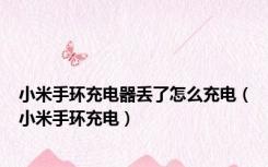 小米手环充电器丢了怎么充电（小米手环充电）