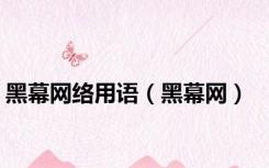 黑幕网络用语（黑幕网）