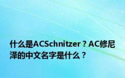 什么是ACSchnitzer？AC修尼泽的中文名字是什么？