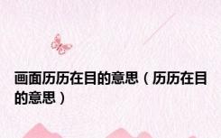 画面历历在目的意思（历历在目的意思）