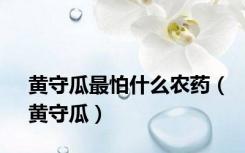 黄守瓜最怕什么农药（黄守瓜）