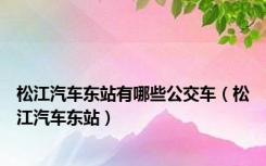 松江汽车东站有哪些公交车（松江汽车东站）