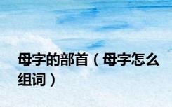 母字的部首（母字怎么组词）
