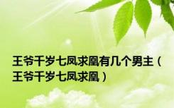 王爷千岁七凤求凰有几个男主（王爷千岁七凤求凰）