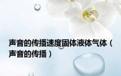 声音的传播速度固体液体气体（声音的传播）