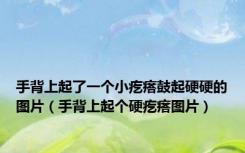 手背上起了一个小疙瘩鼓起硬硬的图片（手背上起个硬疙瘩图片）