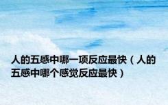 人的五感中哪一项反应最快（人的五感中哪个感觉反应最快）