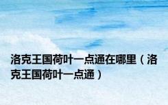 洛克王国荷叶一点通在哪里（洛克王国荷叶一点通）