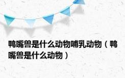 鸭嘴兽是什么动物哺乳动物（鸭嘴兽是什么动物）