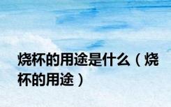 烧杯的用途是什么（烧杯的用途）