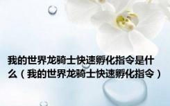 我的世界龙骑士快速孵化指令是什么（我的世界龙骑士快速孵化指令）