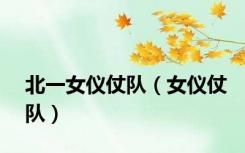 北一女仪仗队（女仪仗队）