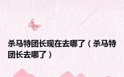 杀马特团长现在去哪了（杀马特团长去哪了）