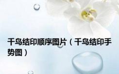 千鸟结印顺序图片（千鸟结印手势图）