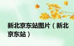 新北京东站图片（新北京东站）