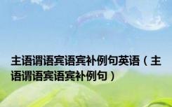 主语谓语宾语宾补例句英语（主语谓语宾语宾补例句）