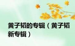 黄子韬的专辑（黄子韬新专辑）